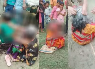 संतापजनक! ‘हडळ’ असल्याचा आरोप करत 3 महिलांचे केले मुंडन, संडासातील पाणी पाजले; गावभर फिरवले