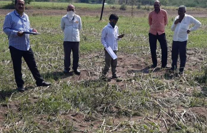 jalna-crop-panchnama