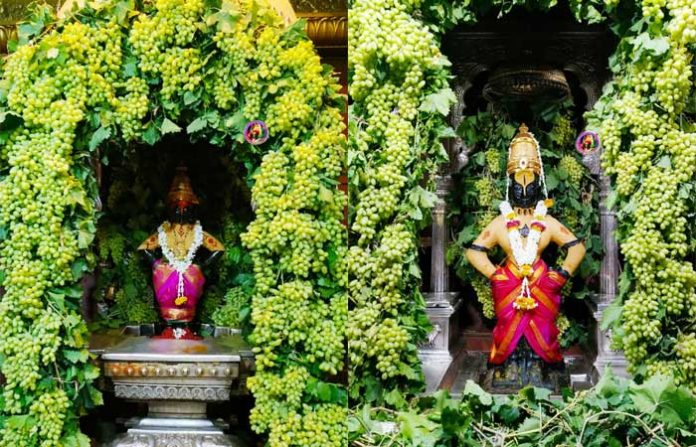 vithoba-rukmini-grapes2