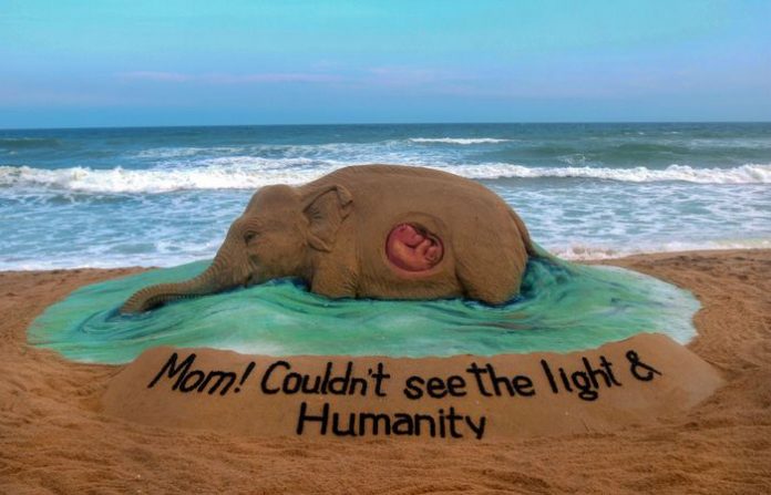 sand-sculpture-of-kerala-pregnant-elephant