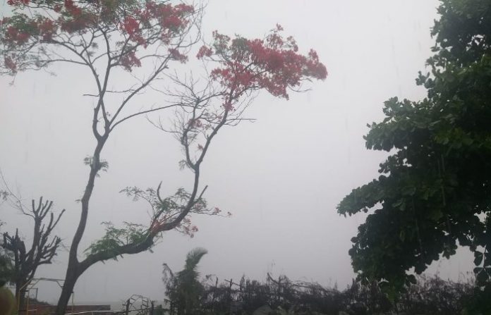 goa-rain