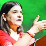 भटक्या कुत्र्यांना सांभाळण्याचा खर्च हजारो कोटींचा, रस्त्यावर उंदीर उच्छाद मांडणार; भाजप नेत्या मेनका गांधींनी व्यक्त केली भिती