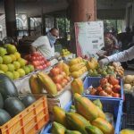 गणपती गेले, फळांचे दर घसरले; 25 टक्क्यांनी फळे स्वस्त