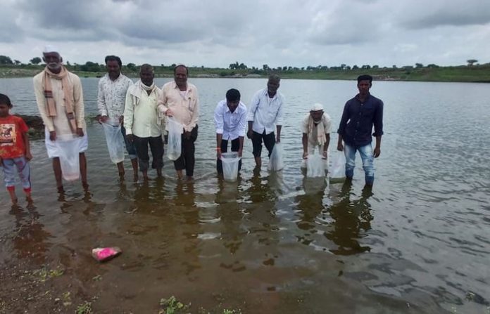 nahsik-fish-egg-in-lake