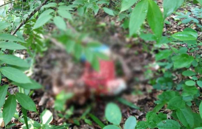 chandrapur-famer-attack