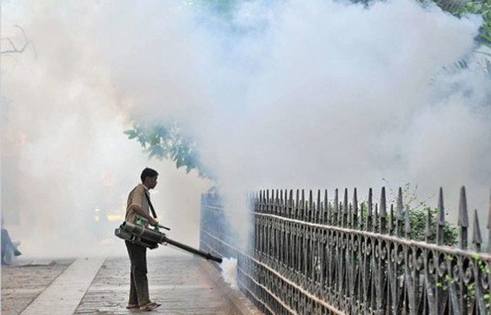 images_1594107754965_dengu-2