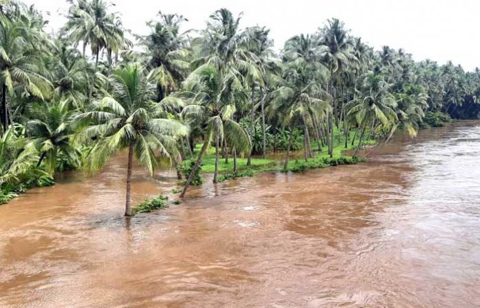 malvan-raining-water