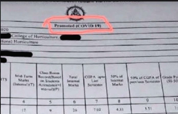 pramoted-covid-19-result