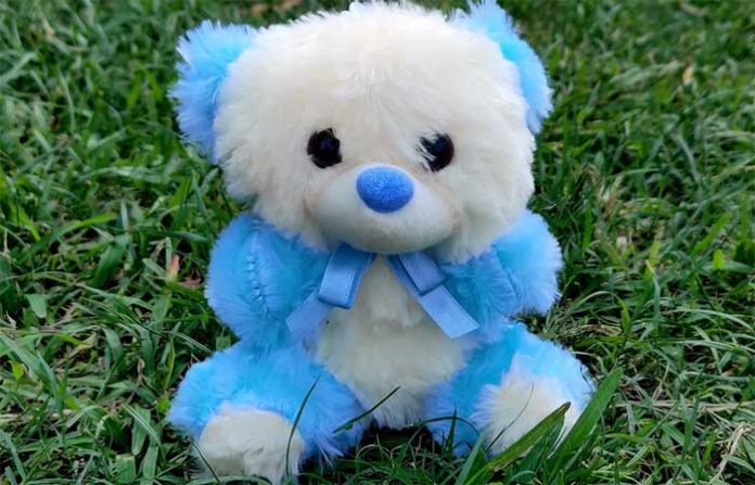 teddy-bear