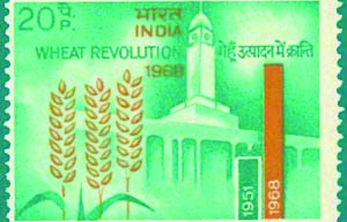 wheat-revolution