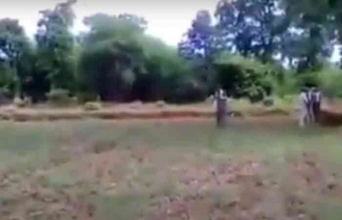 chandrapur-farmers-forest-l