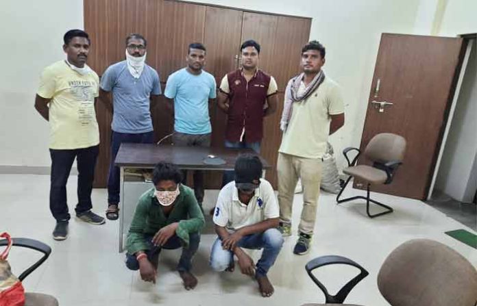 chandrapur-tigernail-arrest