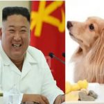 kim-jong-un-dog-meat