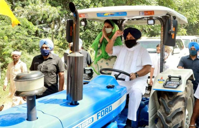 harsimrat-and-sukhbir-badal