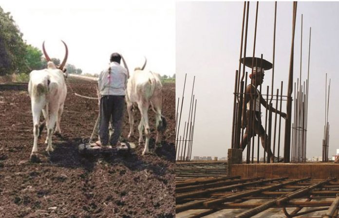 farmer-and-labor