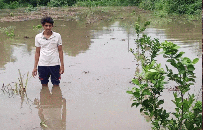 godavari-11