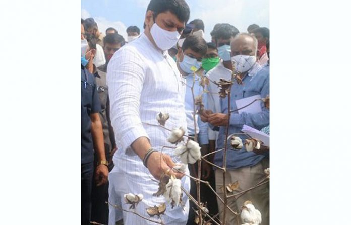 beed-cotton-1-1-299x375-jpeg