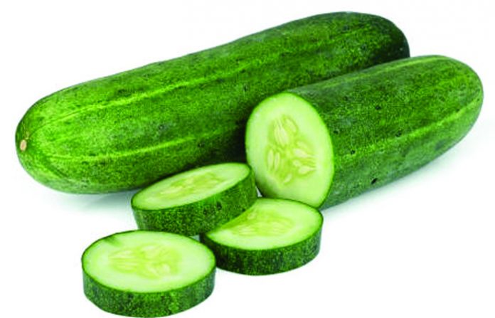 whole with slice cucumber isolated on white background
