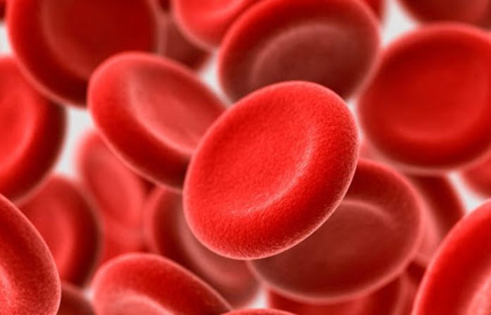 blood