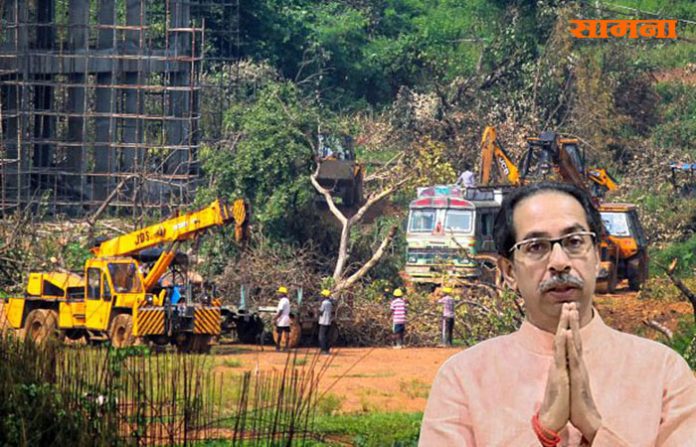 cm Aarey colony forest