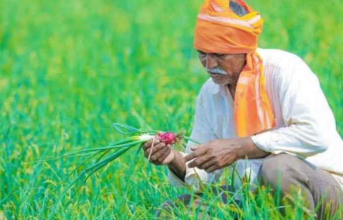 farmer
