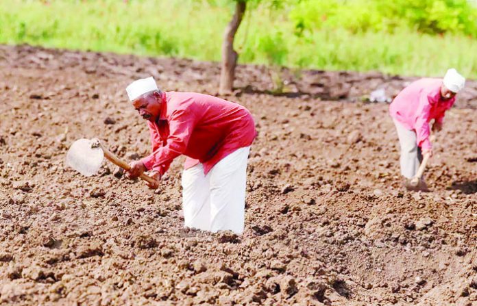farmer