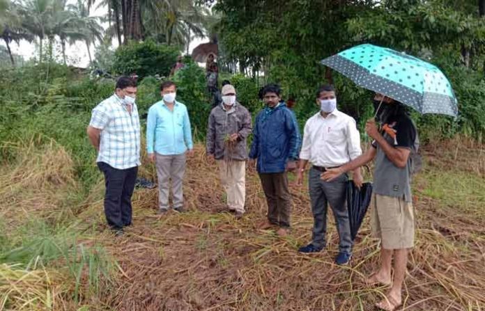 kudal-crop-insurance