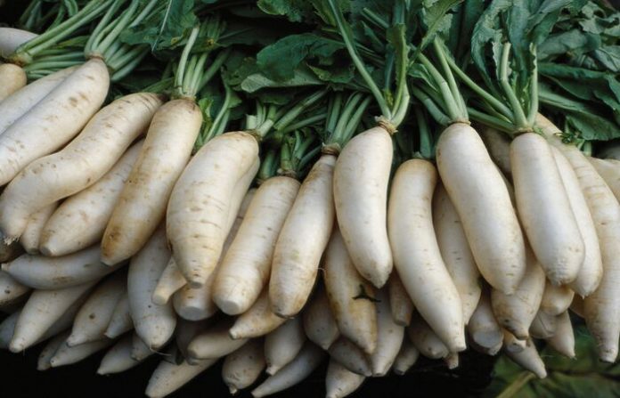 radish-resize