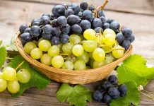 Iran Israel Conflict – इराण इस्रायल संघर्षाचा राज्यातील द्राक्ष बागायतदारांना फटका, 1,500 कोटी रुपयांपर्यंत नुकसान होण्याची शक्यता