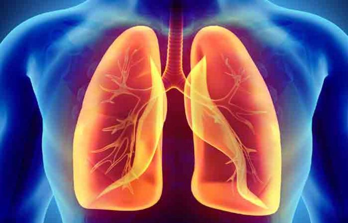 lung