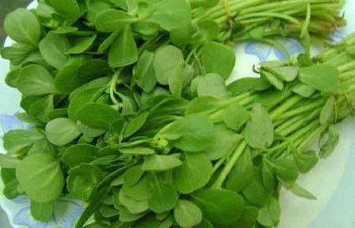 methi