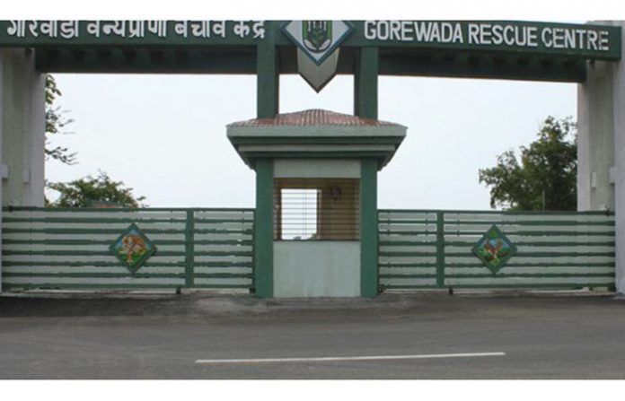 gorewada-750x375