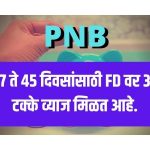 pnb-1