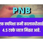 pnb-2