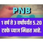 pnb-3