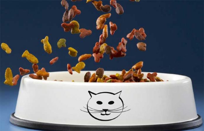 cat-food