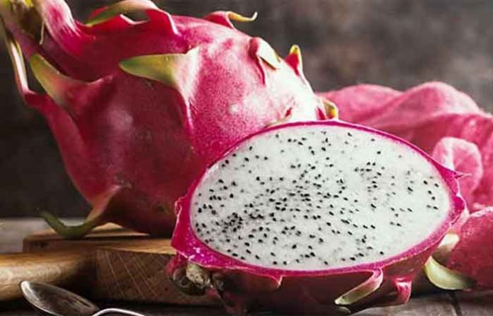 dragon-fruit