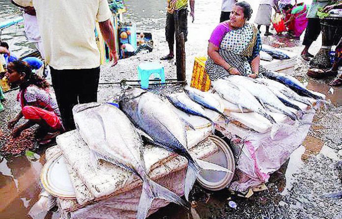 fish-markets-mumbai