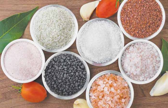 salt-types