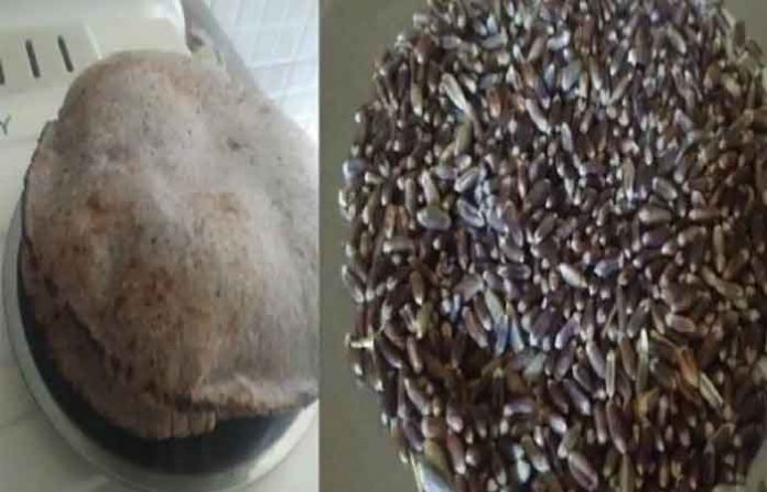 black-wheat-roti