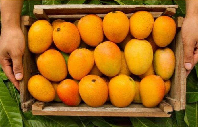 mango
