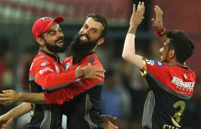 moeen-ali-rcb