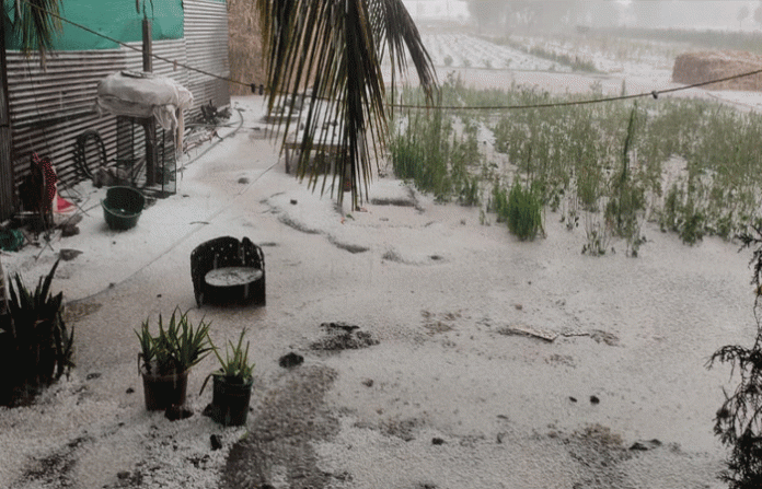 satara-hailstorm