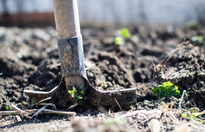 digging-work