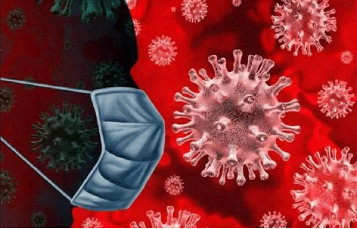 नांदेड कोरोनामुक्तीकडे; 24 तासांत एकही नवीन रुग्ण नाही, मृत्यू नाही