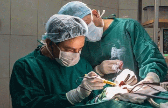 doctors