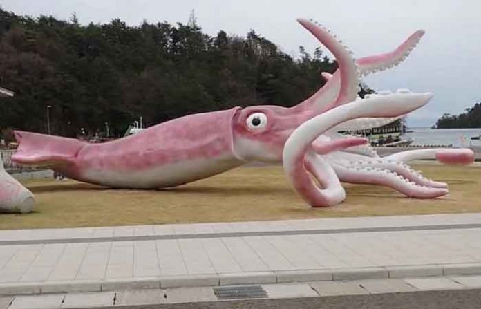 fish