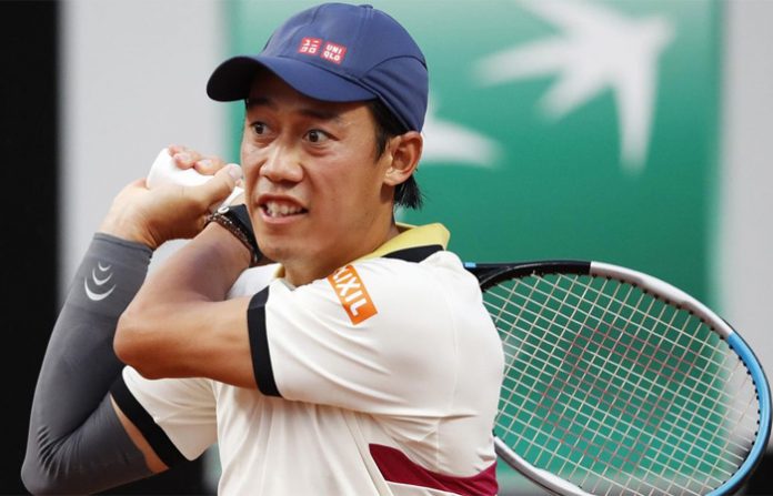 koi-nishikori