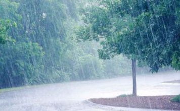 Weather Update – मुंबई, ठाणे, पालघरमध्ये येलो तर रायगडमध्ये ऑरेंज अलर्ट जारी; मुसळधार पावसाची शक्यता
