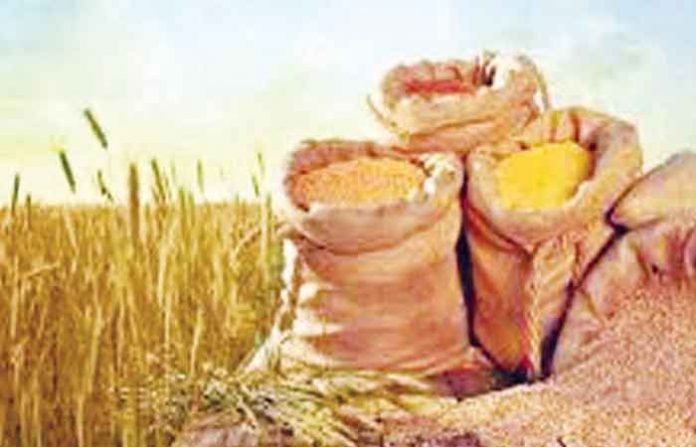 rural-economy